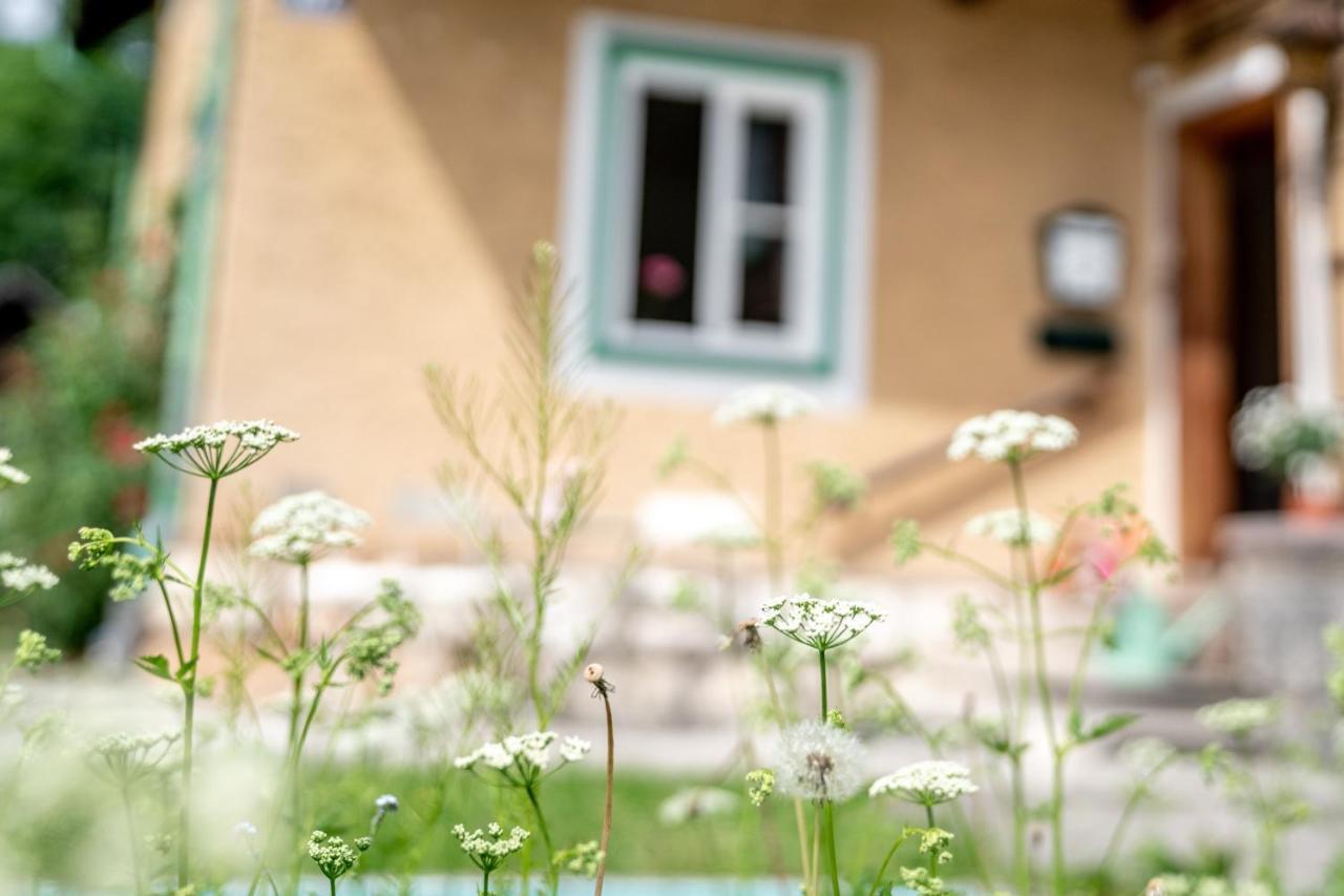 Family Hideaway Mit Baby- Und Kleinkindausstattung Διαμέρισμα Χάλστατ Εξωτερικό φωτογραφία